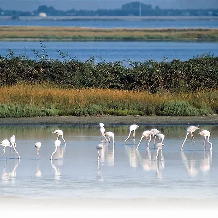 Palazzo Spada - Attico Con Terrazza Vista Fiume In Centro Appartement *