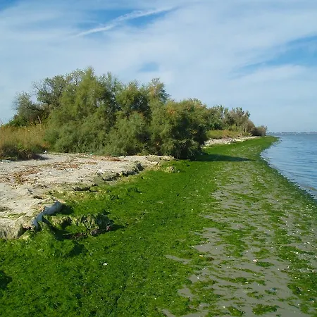 Palazzo Spada - Attico Con Terrazza Vista Fiume In Centro Appartement *