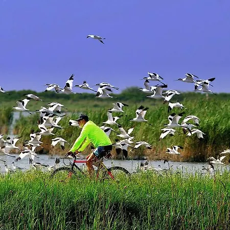 Palazzo Spada - Attico Con Terrazza Vista Fiume In Centro Appartement Codigoro