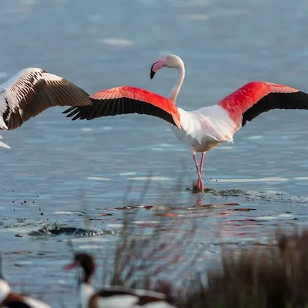 Palazzo Spada - Attico Con Terrazza Vista Fiume In Centro *