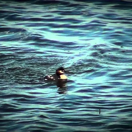 Palazzo Spada - Attico Con Terrazza Vista Fiume In Centro * Codigoro