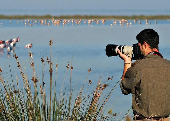 Palazzo Spada - Attico Con Terrazza Vista Fiume In Centro