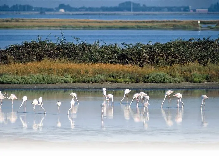 Palazzo Spada - Attico Con Terrazza Vista Fiume In Centro Апартаменты *
