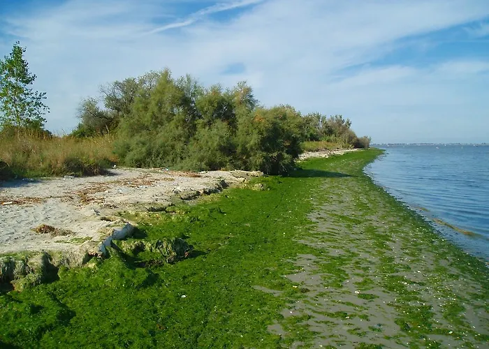 Palazzo Spada - Attico Con Terrazza Vista Fiume In Centro Апартаменты *