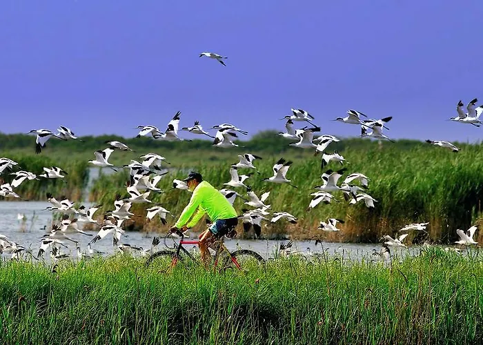 Palazzo Spada - Attico Con Terrazza Vista Fiume In Centro Апартаменты Кодигоро