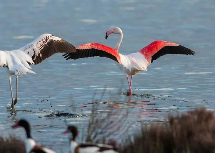 Palazzo Spada - Attico Con Terrazza Vista Fiume In Centro *