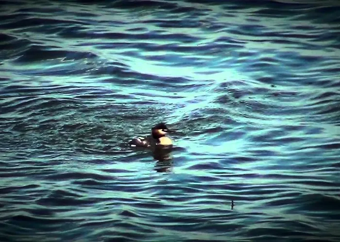 Palazzo Spada - Attico Con Terrazza Vista Fiume In Centro * Кодигоро